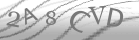 captcha-1
