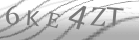 captcha-1