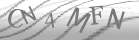 captcha-1